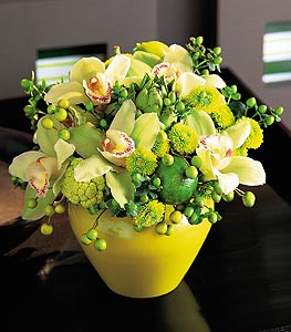  Ankara balum online iek gnderme sipari  5 adet cam yada mika vazoda orkideler