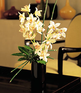  Ankara pursaklar cicekciler , cicek siparisi  cam yada mika vazo ierisinde dal orkide