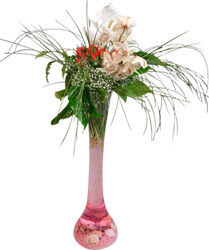  Ankara Keiren hediye iek yolla  Filayagi cam vazo ierisinde orkide ve gllerle ha