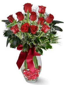 9 adet gül  Ankara bağlum online çiçek gönderme sipariş  kirmizi gül