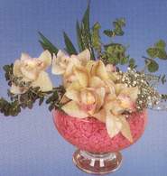  Ankara balum ieki maazas  Dal orkide kalite bir hediye