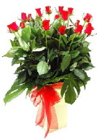 Vazoda 15 adet kırmızı gül  Ankara bademlik 14 şubat sevgililer günü çiçek 