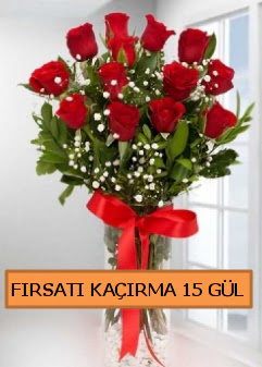  15 İthal kırmızı gül büyük başlı orjinal  Ankara şentepe internetten çiçek siparişi 