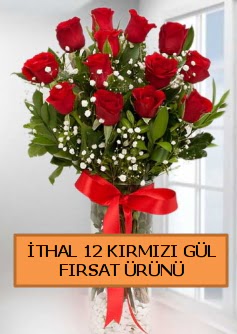  İthal kırmızı 12 adet kaliteli gül  Ankara Keçiören güvenli kaliteli hızlı çiçek 