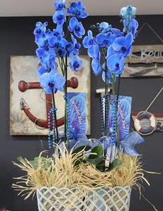 4 dall zel mavi orkide  Ankara Keiren uluslararas iek gnderme 
