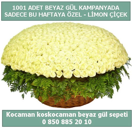 1001 adet beyaz gül sepeti özel kampanyada  Ankara kalaba çiçek gönderme sitemiz güvenlidir 