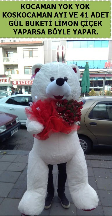 Koskocaman beyaz ayı ve 25 adet gül  Ankara şentepe internetten çiçek siparişi 