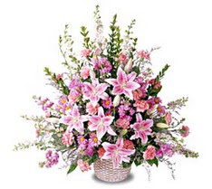 Ankara şentepe internetten çiçek siparişi  Tanzim mevsim çiçeklerinden çiçek modeli