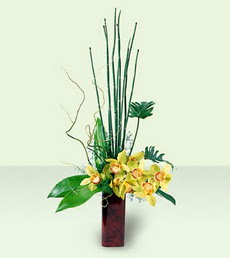  Ankara şentepe internetten çiçek siparişi   cam yada mika Vazoda dal orkide tanzim