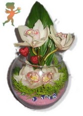 fanus içerisinde 4 orkide  Ankara bağlum online çiçek gönderme sipariş 