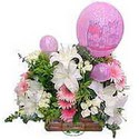 balon ve çiçeklerle tanzim  Ankara bağlum online çiçek gönderme sipariş 