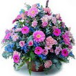 karisik mevsim kir çiçekleri  Ankara kalaba çiçek gönderme sitemiz güvenlidir 