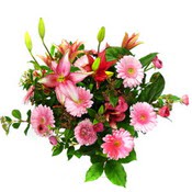 lilyum ve gerbera çiçekleri - çiçek seçimi -  Ankara etlik İnternetten çiçek siparişi 