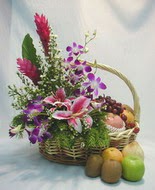 orkide kazablanka ve sepet  Ankara aşağı eğlence çiçek yolla 