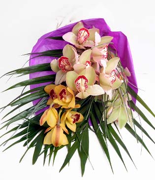  Ankara Ufuktepe çiçek online çiçek siparişi  1 adet dal orkide buket halinde sunulmakta