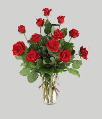  Ankara Ufuktepe çiçek online çiçek siparişi  11 adet kirmizi gül vazo halinde