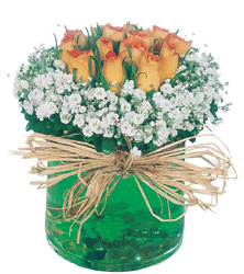  Ankara bağlum online çiçek gönderme sipariş  Cam yada mika içerisinde 9 adet  gül aranjmani