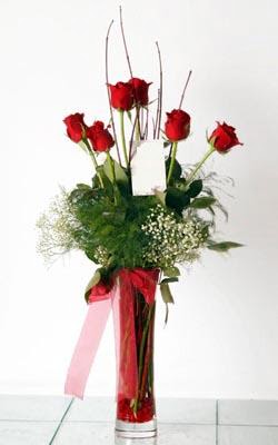  Ankara Ufuktepe çiçek online çiçek siparişi  6 adet kirmizi gül ve cam yada mika vazo