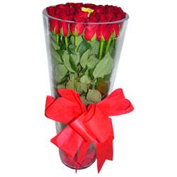  Ankara ayvalı internetten çiçek satışı  12 adet kirmizi gül cam yada mika vazo tanzim