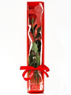  Ankara esertepe ucuz çiçek gönder  1 adet kutuda gül