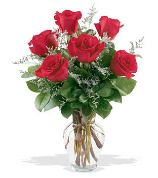  Ankara Ufuktepe çiçek online çiçek siparişi  cam yada mika vazoda 6 adet kirmizi gül