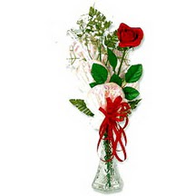  Ankara Keçiören çiçek siparişi vermek  1 adet kirmizi gül cam yada mika vazoda