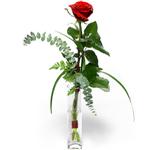  Ankara Keçiören online çiçekçi , çiçek siparişi  1 adet kirmizi gül cam yada mika vazo içerisinde