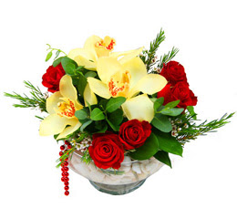  Ankara etlik İnternetten çiçek siparişi  1 kandil kazablanka ve 5 adet kirmizi gül