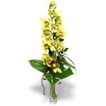  Ankara Etlik çiçek gönderme  cam vazo içerisinde tek dal canli orkide