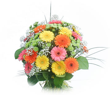 13 adet gerbera çiçegi buketi  Ankara bademlik 14 şubat sevgililer günü çiçek 