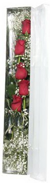  Ankara şentepe internetten çiçek siparişi   5 adet gülden kutu güller