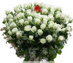  Ankara bağlum online çiçek gönderme sipariş  100 adet beyaz 1 adet kirmizi gül buketi