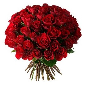  Ankara kızlarpınarı yurtiçi ve yurtdışı çiçek siparişi  33 adet kırmızı gül buketi