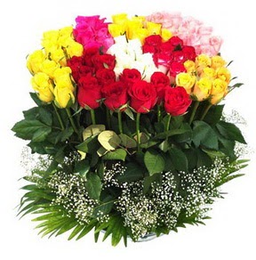  Ankara bağlum çiçekçi mağazası  51 adet renkli güllerden aranjman tanzimi
