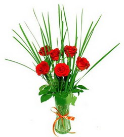  Ankara kızlarpınarı yurtiçi ve yurtdışı çiçek siparişi  6 adet kırmızı güllerden vazo çiçeği
