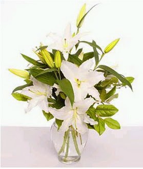  Ankara etlik İnternetten çiçek siparişi  2 dal cazablanca vazo çiçeği