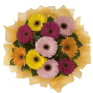  Ankara Etlik çiçek gönderme  11 adet karışık gerbera çiçeği buketi