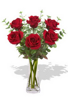  Ankara Keçiören çiçek siparişi vermek  6 kırmızı gül vazosu