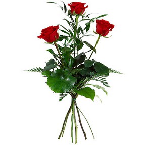  Ankara basınevleri hediye sevgilime hediye çiçek  3 adet kırmızı gülden buket