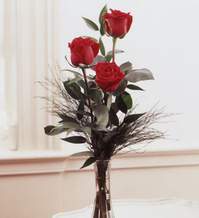  Ankara bağlum online çiçek gönderme sipariş  Vazoda 3 adet güzel gül