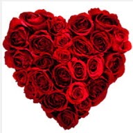 Ankara basınevleri hediye sevgilime hediye çiçek  19 adet kırmızı gülden kalp tanzimi