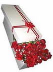  Ankara Keçiören online çiçekçi , çiçek siparişi  11 adet 1.kalite magnum güller
