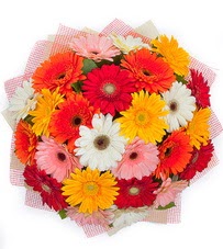 15 adet renkli gerbera buketi  Ankara esertepe ucuz çiçek gönder 