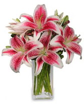 Vazo içerisinde 5 dal kazablanka çiçeği  Ankara Ufuktepe çiçek online çiçek siparişi 
