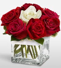 Tek aşkımsın çiçeği 8 kırmızı 1 beyaz gül  Ankara basınevleri hediye sevgilime hediye çiçek 