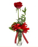vazo içerisinde 1 adet kırmızı gül  Ankara Keçiören online çiçekçi , çiçek siparişi 