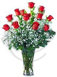 vazo içerisinde 12 adet kırmızı gül  Ankara basınevleri hediye sevgilime hediye çiçek 