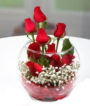 Cam fanus içerisinde 9 adet kırmızı gül  Ankara Keçiören uluslararası çiçek gönderme 
