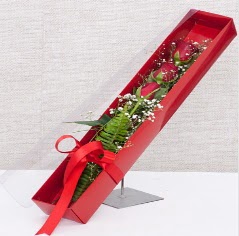 Kutu içerisinde 3 adet kırmızı gül  Ankara bademlik 14 şubat sevgililer günü çiçek 