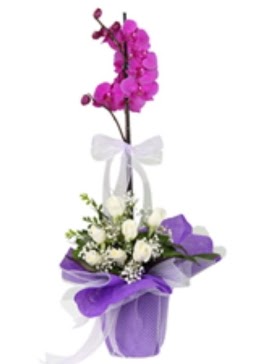 1 dal mor orkide ve 11 adet beyaz gül  Ankara sanatoryum çiçek servisi , çiçekçi adresleri 